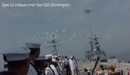 White dove in flight at a remembrance ceremony