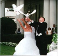 White doves released by bride and groom