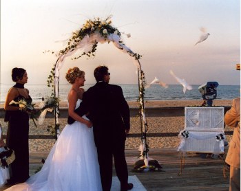Flock of white doves at a wedding